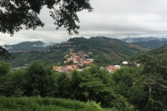 0051  11-8-19 view