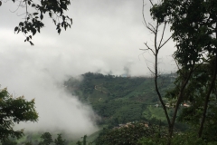 0058  11-8-19 view