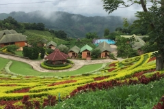 0064  12-8-19 garden