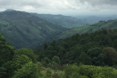 0066  12-8-19 view