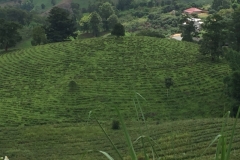 0068  12-8-19 view