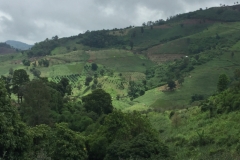 0069  12-8-19 view