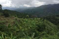 0073  12-8-19 view
