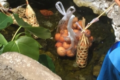 0081  12-8-19 eggs