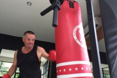 0105  13-8-19 punchbag