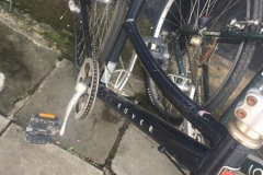 0109  13-8-19 bikes