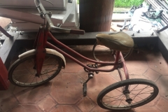 0115  13-8-19 trike