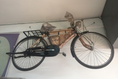 0119  13-8-19 bike