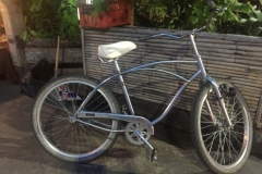 0125  14-8-19 bike