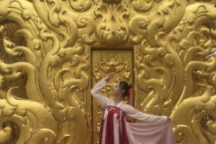 0158  15-8-19 dancer