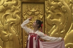 0159  15-8-19 dancer