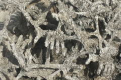 0165  15-8-19 sculpture
