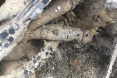 0170  15-8-19 sculpture