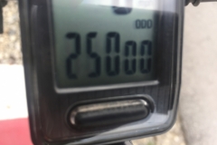 0182  15-8-19 25000 miles