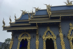 0202  16-8-19 roof