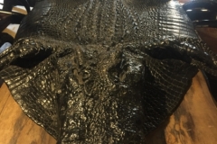 0204  16-8-19 skin
