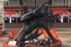 0219  16-8-19 singha stadium