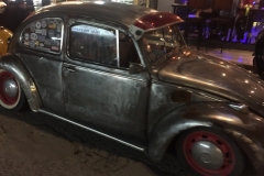 0227  16-8-19 beetles