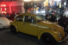 0228  16-8-19 beetles