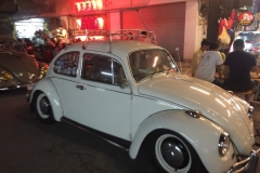 0229  16-8-19 beetles