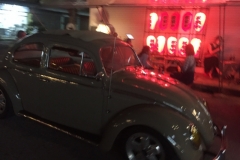 0230  16-8-19 beetles