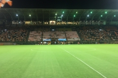 0239  17-8-19 football