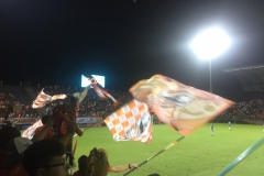 0249  17-8-19 football fans