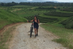 0269  19-8-19  cyclist view