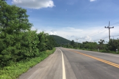 0292  20-8-19  road