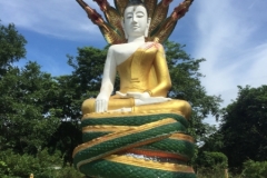0329  21-8-19 buddha