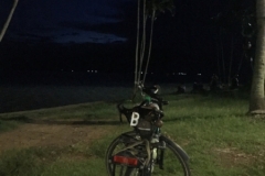 0343  21-8-19 night bike