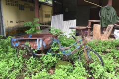 9878  4-8-19 rusty bike