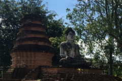 9914  6-8-19 ruin