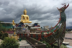 9932  7-8-19 Buddha