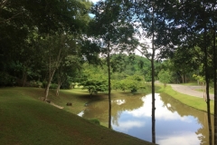 9945  7-8-19 pond