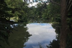 9946  7-8-19 river