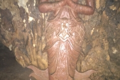 9967  8-8-19 cave
