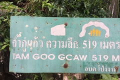 9969  8-8-19 sign
