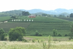 9996  9-8-19 view