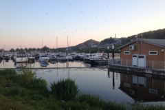 8298 29-4 marina
