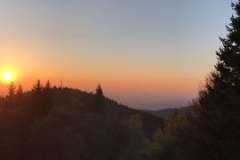 8300 29-4 sunset