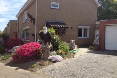 8307 30-4 house of animal statues