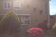 8308 30-4 house of animal statues