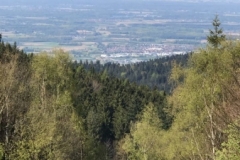 8331 1-5 view