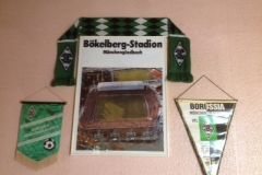 8354 1-5 football stuff
