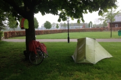 8389 3-5 morning camp under tree