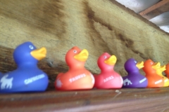 8415 4-5 rubber ducks