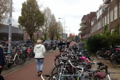 8459 5-5 bike park
