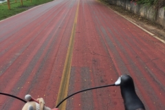 2857 17-3-18 Red road