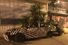 2864 17-3-18  Camouflage